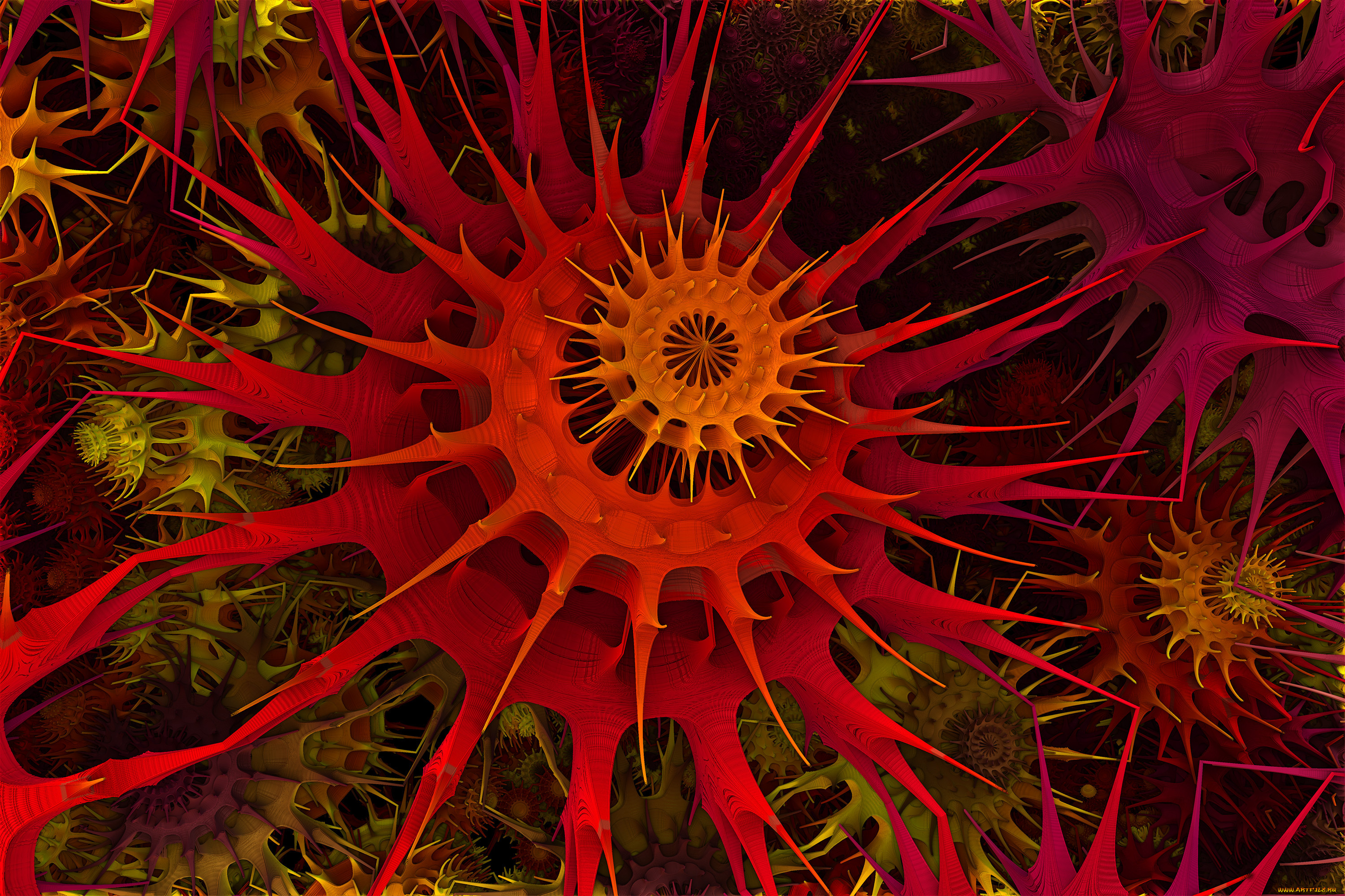 3, , fractal, , , , 